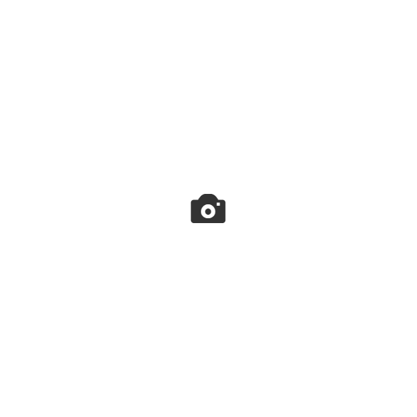 There is no image available for this lot
